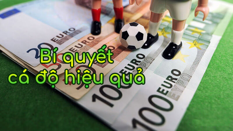 học hỏi kinh nghiệm cá độ