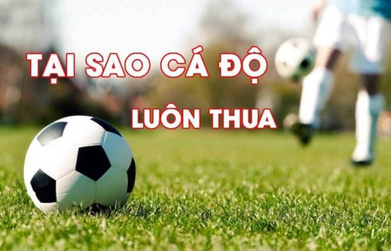 nguyên nhân vì sao cá độ bóng đá luôn thua