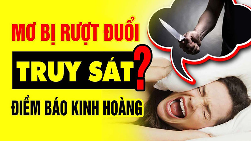 mơ thấy bị rượt đuổi đánh con gì