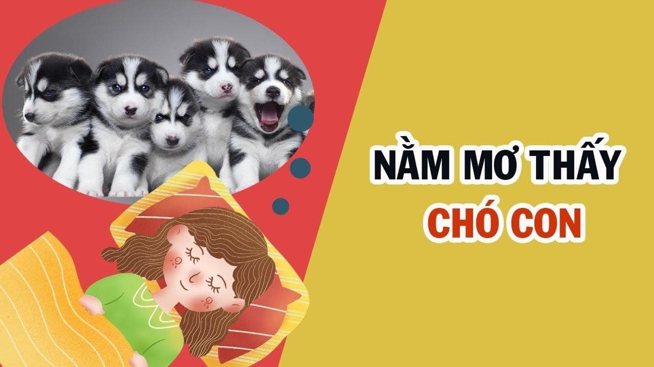 Nằm mơ thấy chó cắn đánh số mấy - có ý nghĩa gì?